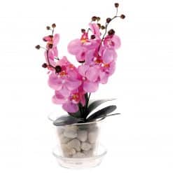 Alternative view of Orkidearuukku lasinen