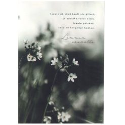 Adressi erilaisia Linnapaperi