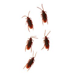 Halloween torakat 20 Kpl