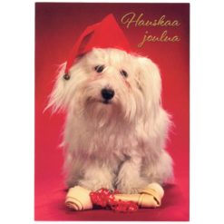 Joulukortti erilaisia