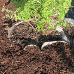 Alternative view of Juuriestematto leveys 1,75 cm