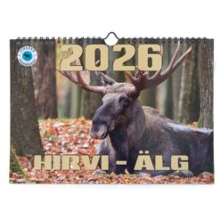 Kalenteri seinäkalenteri Hirvi 2026 Aika
