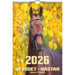Kalenteri seinäkalenteri iso Hevoset 2026 Aika