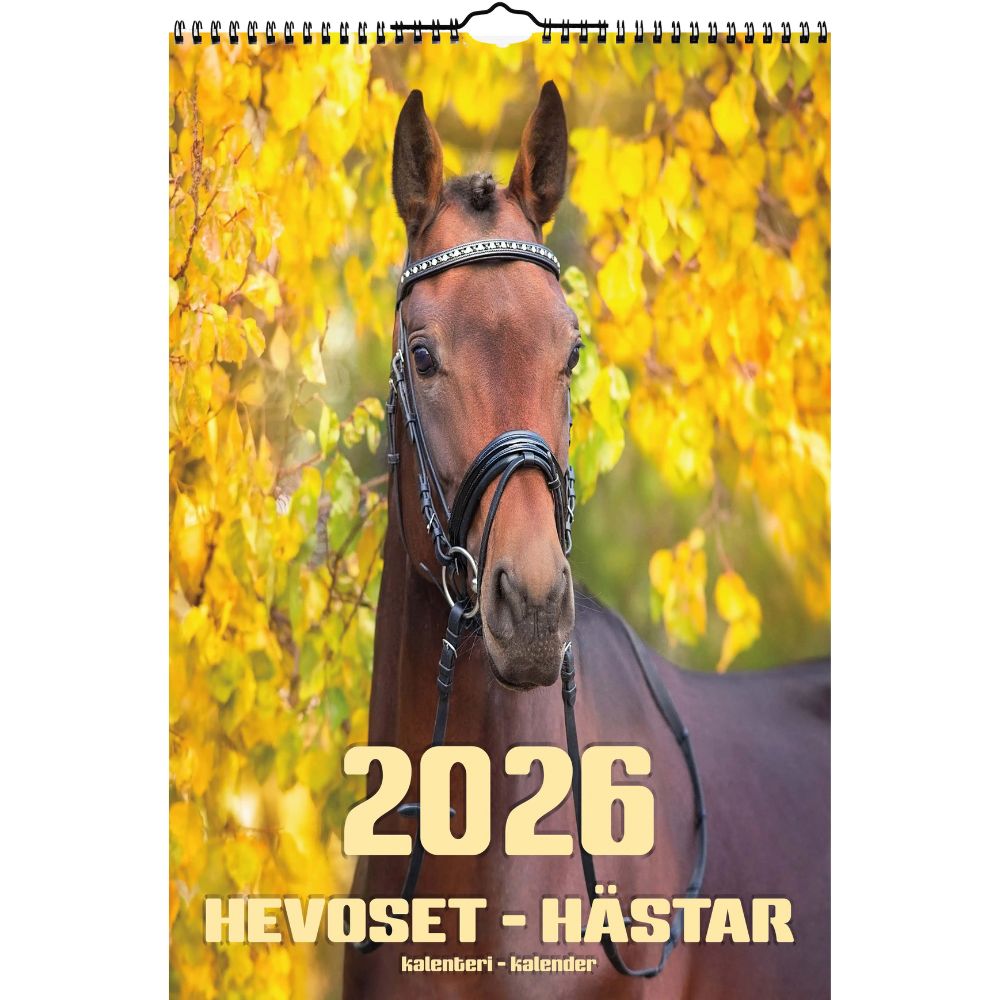Kalenteri seinäkalenteri iso Hevoset 2026 Aika
