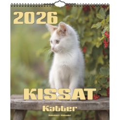 Kalenteri seinäkalenteri iso Kissat 2026 Aika