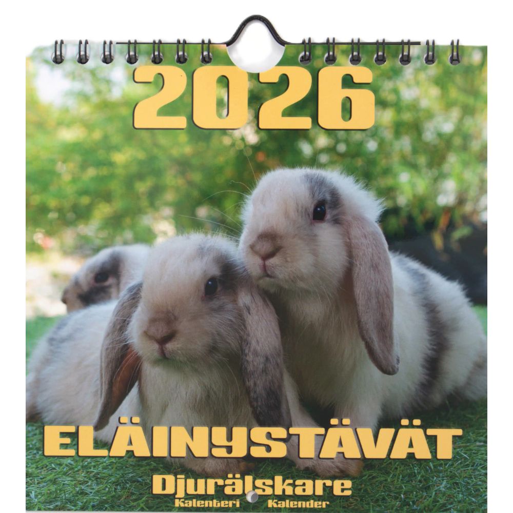 Kalenteri seinäkalenteri pieni design 2026 Aika