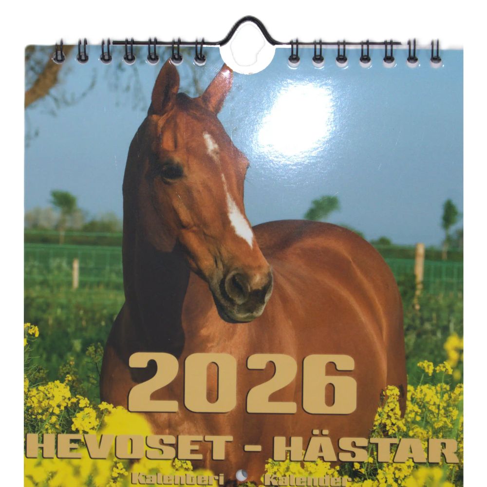 Kalenteri seinäkalenteri pieni hevoset 2026 Aika