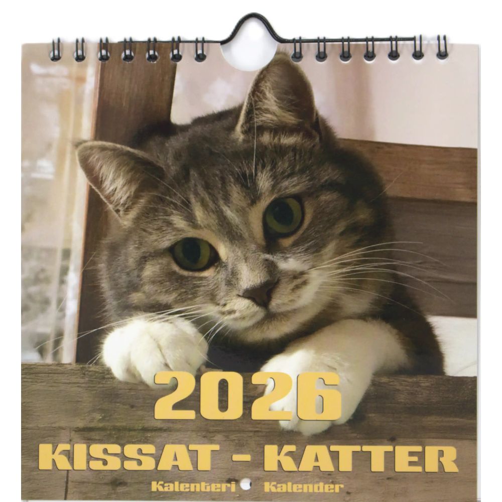 Kalenteri seinäkalenteri pieni kissat 2026 Aika