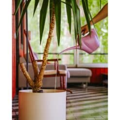 Alternative view of Kastelukannu 2 L roosa