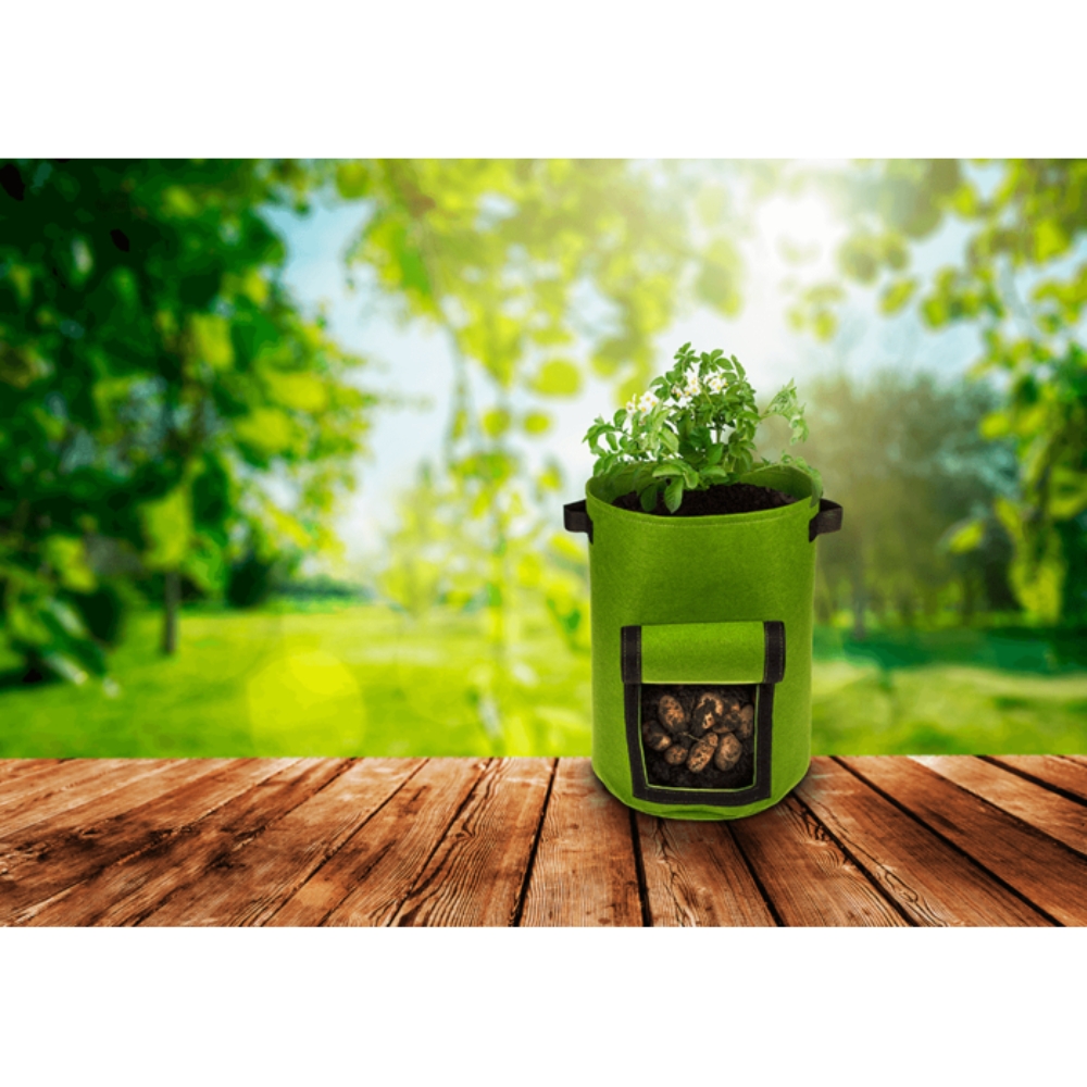 Kasvatushuopakassi vihanneksille