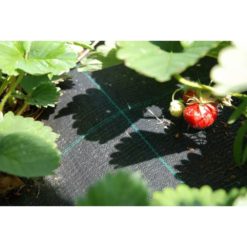 Katekangas 1,00 x 100 m rulla