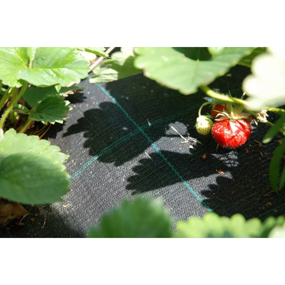 Katekangas 1,00 x 100 m rulla