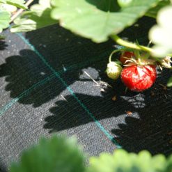 Katekangas 1,25x40m kudottu mansikkakangas