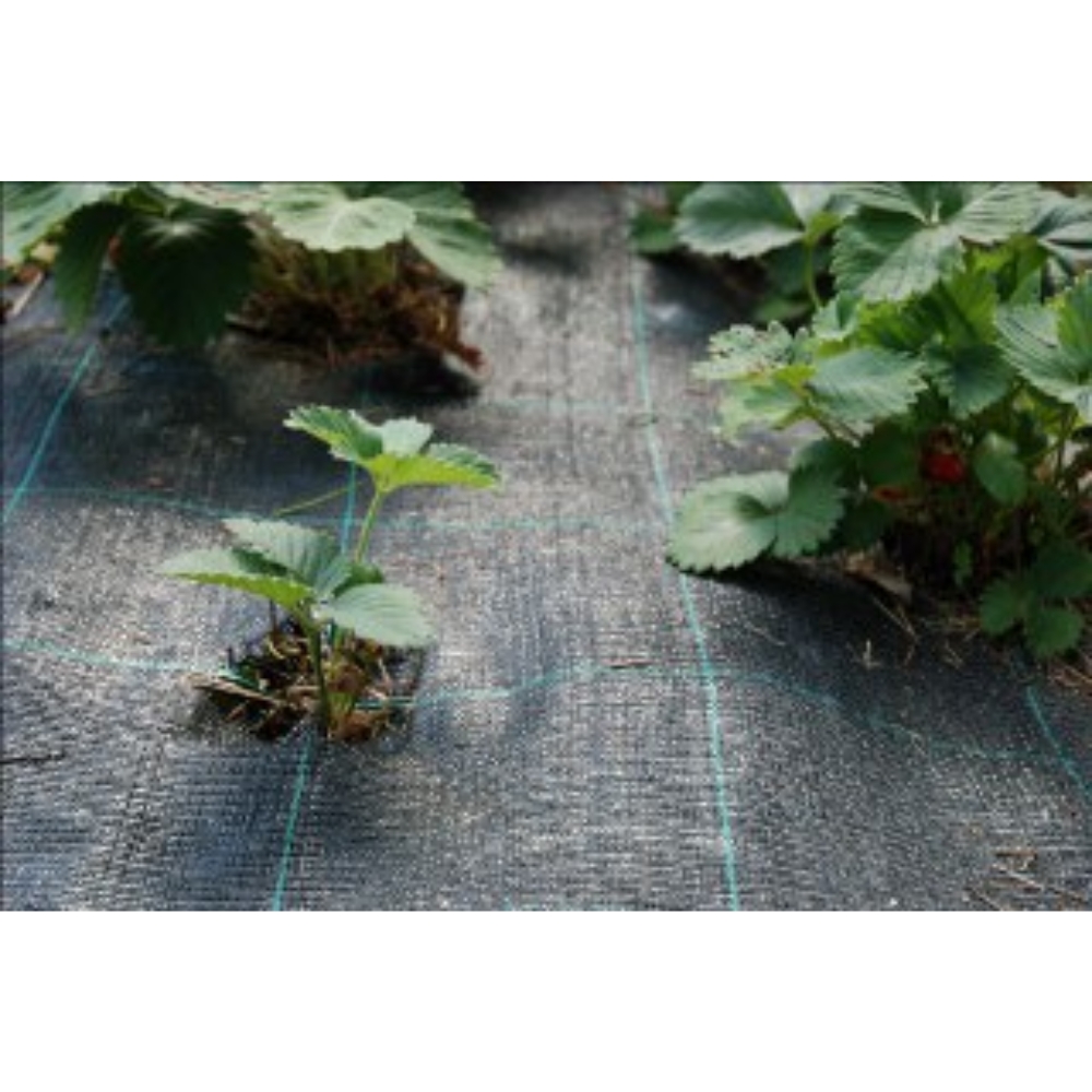 Katekangas 1,25x40m kudottu mansikkakangas