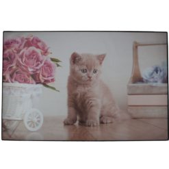 Kirjoitusalusta kissa Aika