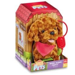 Talutettava koira lemmikki