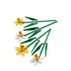 Alternative view of LEGO 40747 narsissit