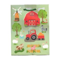 Lahjakassi 21x18x8 cm erilaisia