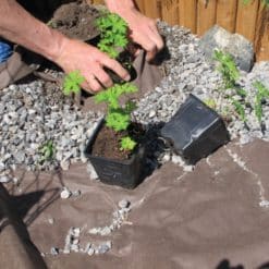 Maisemointikangas 1,6 m x 5 m Hortex