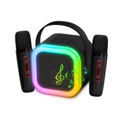 Mikrofoni 2 kpl ja kaiutin Party Fun