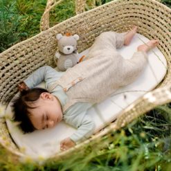 vauva nukkuu soittolelun kanssa