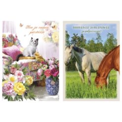 kissa nojatuolissa tai hevoset