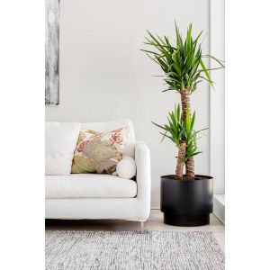 Alternative view of Kestosäiliöruukku 30cm Pauliina betoni Orthex