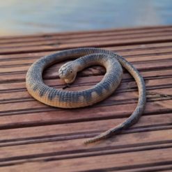 Pelotinkäärme muovinen 105 cm Tarmo