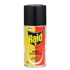 Raid House 150ml hyönteistorjunta