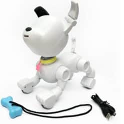 Alternative view of Robottikoira Mintid Dog-E