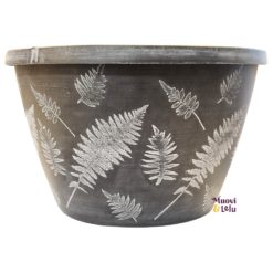 Ruukku saniainen 28x17,8 cm mustavalkoinen