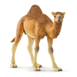 schleich camel front