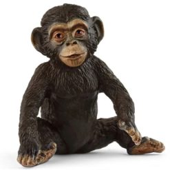 Schleich Simpassi 14884