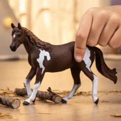 Alternative view of Schleich paint tamma 14901