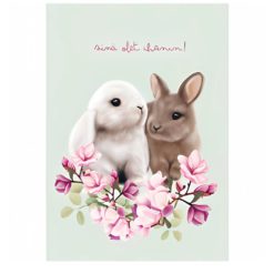 Alternative view of Synttärikortit A6 postikortti erilaisia