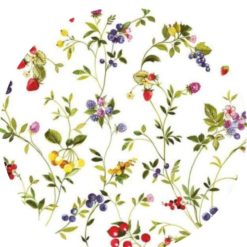 Vahakangas-Tutti-Frutti-1