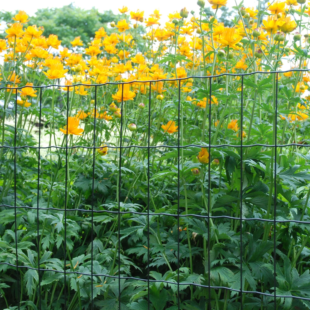 puutarhaverkko vihreä