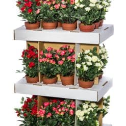 Alternative view of Tekokukka ruusu ruukussa 30 cm erilaisia